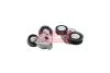 Натягувач ременя поліклінового (у зборі) Ford Fiesta IV (00-), Focus II (04-), Mondeo IV (07-) 1.8 TDCi (YD850309) Automotive A.B.A 'YD850309 (фото 1)