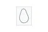 Прокладка корпуса термостата RENAULT MEGANE/ DUSTER/ MASTER/ LAGUNA 1.9-2.5d Ajusa AJUSA '00837200 (фото 1)