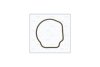 Прокладка термостату Fiat 500 (07-)/ Opel Combo (05-), Corsa C 1.3d AJUSA '01096800 (фото 1)