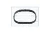 Прокладка впускного коллектора RENAULT Kangoo/Megane I/II/III 1.6i (01-) Ajusa AJUSA '01121000 (фото 1)