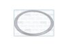 Прокладка вихлопної труби Fiat 500 (09-), Doblo (16-)/ Opel Combo (15-) 1.3d AJUSA '01247900 (фото 1)