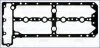 Прокладка клапанної кришки Citroen Jumper II/ Fiat Ducato (09-)/ Iveco Dailly (III,IV,V,VI) 3.0d Ajusa AJUSA '11116900 (фото 1)