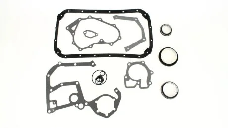 Комплект прокладок блока-картера FORD TRANSIT (91-00) 2.5d AJUSA '54055000