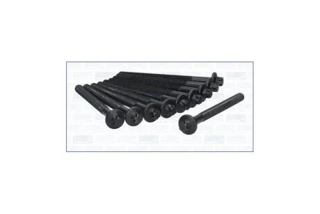 Комплект болтов ГБЦ RENAULT MEGANE I, II, III 1.4, 1.6i (10шт) Ajusa AJUSA '81024900