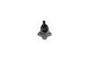 Опора кульова передня нижня Ford Mondeo (07-), S-MAX (06-) / Volvo S70, S80 (06-) / Land Rover Freelander (06-) APPLUS 19683AP (фото 1)