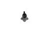 Опора кульова передня нижня Ford Mondeo (07-), S-MAX (06-) / Volvo S70, S80 (06-) / Land Rover Freelander (06-) APPLUS 19683AP (фото 1)