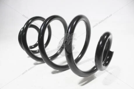 Пружина задня Renault Clio III (05-), Modus, Grand Modus (04-) Asam ASAM 05543