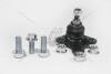 Опора кульова Renault Captur (13-), Kaptur (16 -), Duster (17 -), Arkana I (19 -) ASAM 24834 (фото 16)