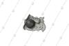 Насос водяний Renault Logan, Sandero, Kangoo, Megane, Clio 1.4i (98-) ASAM 30147 (фото 3)