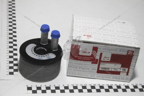 Радиатор масляный Renault Master II/Opel Movano 2.2, 2.5dci (01-) ASAM 56890