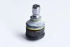 Опора шаровая Mazda 5 (CR19) 2.0 (05-10) Asam ASAM 74552 (фото 1)