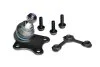 Шарова опора лiва Skoda Fabia II/VW Polo/Seat Ibiza IV, Toledo IV/Audi A1 Asam ASAM 80320 (фото 1)