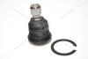 Опора шаровая Nissan Qashqai, Renault Koleos (07-) AUTOMOTOR France ASJ5450 (фото 14)