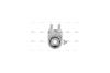 Радіатор масляний Dodge Journey 2,4i 08>, Compass Patriot 2,0i 2,4i, Caliber 2,0i 2,4i AVA AVA COOLING CR3144 (фото 2)