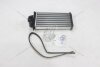Радіатор обігрівача салону Citroen C3 (02-)/Peugeot 206 (98-), 307 (00-) AVA AVA COOLING 'PEA6356 (фото 2)