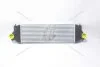 Інтеркулер Suzuki Grand Vitara (05-) 1.9DDiS (SZA4134) AVA AVA COOLING 'SZA4134 (фото 5)
