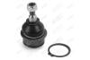 Опора шаровая (конус 15.8*19) нижн DODGE JOURNEY (08-), CHRYSLER 200 (11-), FIAT FREEMONT (JC, JF) (11-) AYD 92-10146 (фото 2)