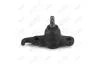 Опора шаровая рычага передн прав (кон 14.55*17.5mm) HYUNDAI TUCSON (JM) (04-), KIA SPORTAGE II (JE, KM) (04-) AYD 92-21892 (фото 1)