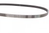Ремень поликлиновый Hyundai Accent, Getz 1,4-1,6 05> Contitech 4PK815 (фото 2)