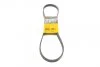 Ремень поликлиновый Daewoo Lanos 1,6i 01>05 ContiTech Contitech 5PK1015 (фото 1)