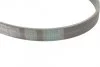 Ремень поликлиновый Daewoo Lanos 1,6i 01>05 ContiTech Contitech 5PK1015 (фото 3)