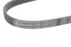 Ремень поликлиновый Opel Vectra C 2,2i ContiTech Contitech 5PK1030 (фото 4)