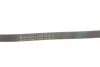Ремень поликлиновый Mitsubishi Colt 1,3i 1,5i 04>08 ContiTech Contitech 5PK1219 (фото 3)