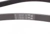 Ремінь поліклиновий Hyundai Santa Fe, H1, Kia Sorento 2,4i 02> ContiTech Contitech 5PK1393 (фото 2)