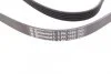 Ремінь поліклиновий Hyundai Santa Fe, H1, Kia Sorento 2,4i 02> ContiTech Contitech 5PK1393 (фото 3)