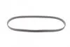 Ремень поликлиновый Suzuki Swift 1,2i 10>, Splash 1,0i 1,2i 11> ContiTech Contitech 5PK900 (фото 4)