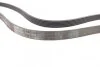 Ремень поликлиновый Renault Logan 1,6 16V 06>, 09> ContiTech Contitech 6PK1820 (фото 2)