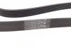 Ремень поликлиновый Chevrolet Lacetti 1,8i ContiTech Contitech 6PK1893 (фото 2)