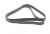 Ремень поликлиновый Toyota Camry V40 2,4i 07> ContiTech Contitech 7PK1910 (фото 5)