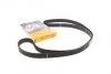 Ремінь ГРМ Subaru Forester 2,0i 05>13, 2,5i 03>13, Legasy 2,0i 00>14, 2,5i 09>14 ContiTech Contitech CT1058 (фото 1)