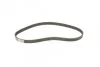 Комплект ременя ГРМ Ford Fiesta Fusion 1,25i 1,4i 1,6i >04/05, Focus II 1,4i 1,6i >04/05 ContiTech Contitech CT881K2 (фото 5)