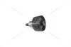 Ролик ремня ГРМ SKODA FABIA III/ RAPID (15-) 1.0, 1.2, 1.4i (C997) Coram CORAM 'C997 (фото 1)
