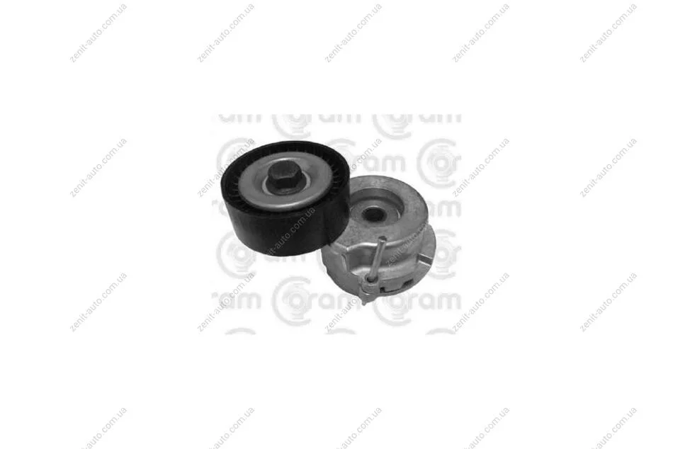 Натягувач ременя генератора FIAT PUNTO/ OPEL ASTRA J, H, CORSA C, D, E 1.3d (CT1003) Coram CORAM 'CT1003 (фото 1)