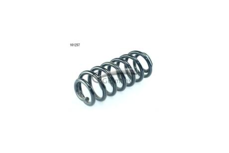 Пружина подвески задняя (кратно 2) BMW X5(E53) (00-) (14.101.257) CS Germany '14.101.257