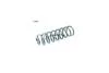 Пружина підвіски передня (кратно 2) MERCEDES E-class W211 (02-09) CS Germany '14319589 (фото 1)