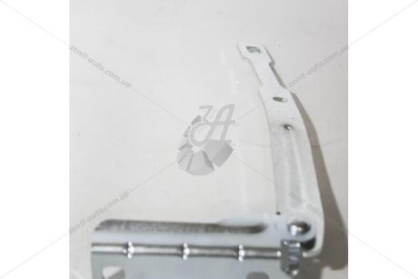 Петля двери левая Renault Dokker, Lodgy (13-) EXXEL B030.66799