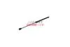 Амортизатор багажника Opel Zafira B 505MM / 610N (FT00355) Fast FAST 'FT00355 (фото 1)