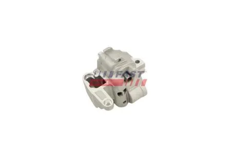 Насос масляный Audi A4 B7, A6 C6/ VW Passat B6 (FT00719) Fast FAST 'FT00719
