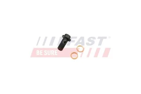 Болт трубки турбины подачи масла Renault Master III (10-) 2.3DCI (FT38931) Fast FAST 'FT38931