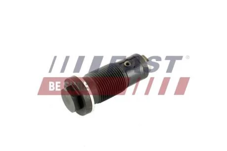 Натяжитель ремня ГРМ Fiat Ducato (06-,14-)/ Iveco Daily (06-)3.0JTD (FT44097) Fast FAST 'FT44097