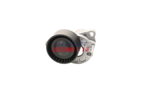 Натяжитель ремня генератора Renault Trafic III, Megane (III,IV)/ Nissan Qashqai (06-) 1.6d FAST 'FT44689