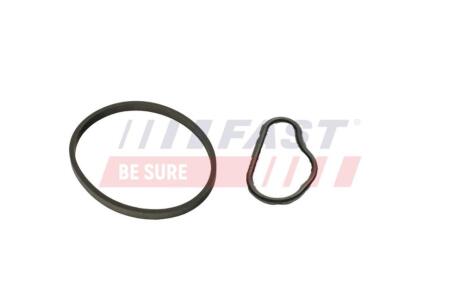 Комплект прокладок вакуумного насосу Citroen Berlingo (08-) 1.6 HDI/BLUEHDI FAST 'FT48943
