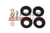 Комплект прокладок форсунки Ford Transit (06-14, 11-)/ VW Caddy III (FT49850) Fast FAST 'FT49850 (фото 1)