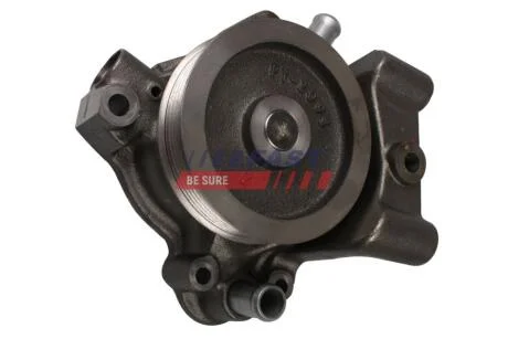 Насос водяной Fiat Ducato/Peugeot Boxer/Citroen Jumper (06-) 3.0 JTD 6PK Fast FAST FT57147