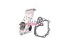 Водяной насос Renault Kangoo (97-), Megane (II,III), Logan (I,II) 1.6i 16V (FT57173) Fast FAST 'FT57173 (фото 1)