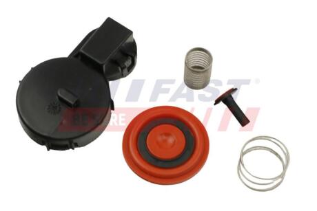 Фільтр вентиляції картерних газів citroen berlingo/jumpy/peugeot partner 1.6 hdi 07- FAST FT60104